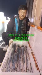 통영돼지갈치 10/31(목)~11월1일 조황입니다
