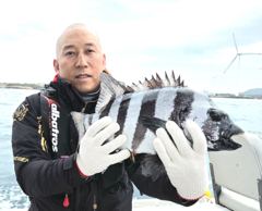 첫 돌돔낚시에 50cm