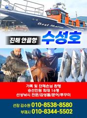 [진해] 8/15 돌문어 조황입니다 일요일 예약가능!!