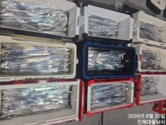 20일새벽,내만칼치 텐빈,루어 버글버글 엄청나게 잡고~목,금,토욜 예약가능~