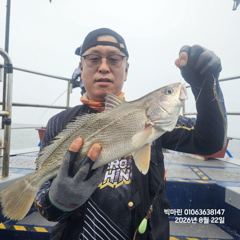 조황갤러리 - 8월22일 안전이 우선이였던 하루 - 무창포 백조기낚시