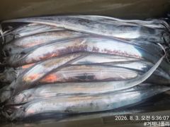 텐야 텐빈 !!!! 점점 날씨가 풀리기 시작하네요!!!
