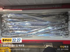 초대박갈치드디어 터졌다 오늘 바리바리 오세요