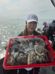 2일 쭈꾸미 조황 입니다