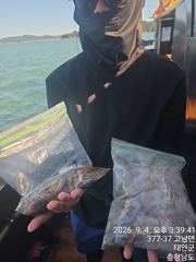 2026.09.04 마감포 바다사랑호 조황사진입니다