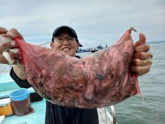 오늘의조황 - 26년09월02일 출조현황 - 회변항 해상2호,배낚시,선상낚시,출조