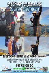 쭈꾸미 실시간 삼천포 뉴펄스호