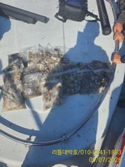 9월7일 전곡항 리틀대박호 조황입니다