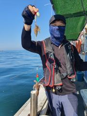 오늘의조황 - 8일 뉴프린스호 쭈꾸미 조황 입니다 - 마량포낚시,배낚시,선상낚시