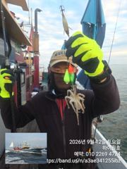 12일, 군산쭈꾸미~오늘도 스타트~실시간~점점 좋아지는 쭈구미~내일도 갑니다~군산낚시프라자 하이원호