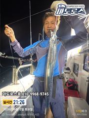 갈치한치조황++ - 여수갈치 [대교낚시] 먼바다 씨알좋은 폭탄갈치 대장쿨러 갈치조황==> 010-6608-2392,,,,,,,내일<일> 월화수목금토일~~~빈자리 아주 많음,,,,년중 갈치낚시 출조 전문점