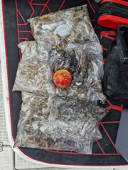 [스마트보트호] 09월12일 쭈꾸미/갑오징어 섬투어 [마린낚시]