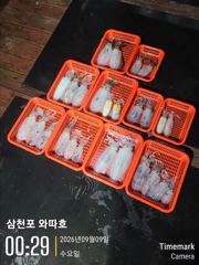 오늘 팁런 자리많습니다