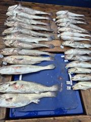 격포 새천년호 글만 보기