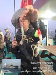 13일, 군산쭈꾸미~날씨만 좋다면 물때 상관없는 굿조황~점점 좋아지는 쭈구미~실시간~내일도 갑니다~군산낚시프라자 하이원호