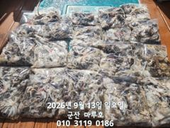 9월 13일 쭈꾸미 최종조항~☆