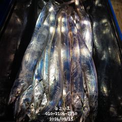 [마산] 먼바다 갈치 만쿨~~기회는 오늘 하루뿐!!!
