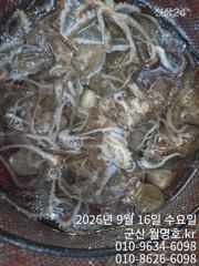 [군산] 16일 오전반