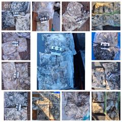 인천 팀에프호 9월16일 쭈꾸미 조황!!