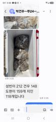 [여수,광양] 화요일22일부터 쭈꾸미 타작가실분~~~
