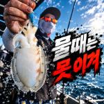 [팀바이트호] 9월20일 갑오징어 낚시
