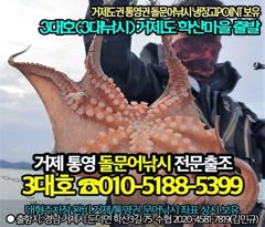 [거제] (무늬오징어)오늘 정상출항 가조도 팁런 마릿수 공략~3대호