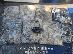 쭈갑조황 글만 보기