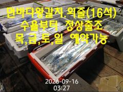[진해] 월욜 내만갈치 조황/먼바다왕갈치.외줄(16석)=목,금,토,일 예…