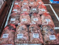 9월22일 무창포뉴아폴로호 대박 쭈꾸미망태기조황