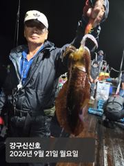 260920 일요일 무늬오징어 조황 장원27 총285 강구신신호 팁런 선상낚시