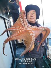 23일,군산 문어~싸이즈 좋은 문어 오늘도 굿굿 ~실시간~군산낚시프라자 포세이돈호