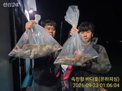 [진해] 문어 내만 돌문어 조황 강풍속에도 키로급행진 쭈욱 목요일 주야 …