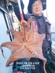 23일,군산 문어~싸이즈 좋은 문어 오늘도 굿굿~연이은 대박행진~군산낚시프라자 포세이돈호