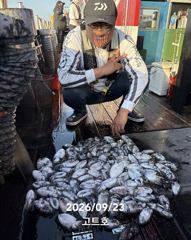 9월23일 고트호 조황(100갑오바)