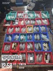 [통영] [팁런]k,k,무시급들로,마리수 "굿"(목,금,토일,출항)