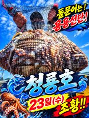 <고흥녹동>청룡호24일 돌문어700수 !!!!대박조황소식!!