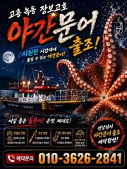 추석재수용 녹동돌문어 물반문어반7탄