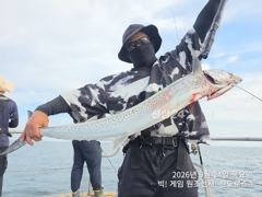 9/24 미터오버 대삼치/대방어/대고시 빅! 히트~ (금-오후/토/일 모집중!)