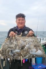 9월24일 군산 신성호 쭈꾸미 조황입니다