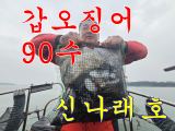 (신나래호) 쭈꾸미낚시 갑오징어만 90수 오바 베리굿 !!