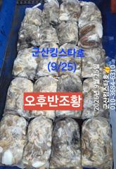 ■군산킹스타호(9/25)■ 반일반 쭈꾸미 굿~마무리(쭈.갑출조하게요9/28부터~