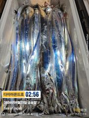 [진해] 준내만 5지까지 대박터집니다! 내일긴급4자리! 전화주세요~