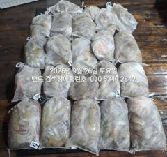 25일 홈런호 야간문어 마무리 조황 입니다 별로인 날씨인데도 불구하고 열심히 해주셔서 감사합니다