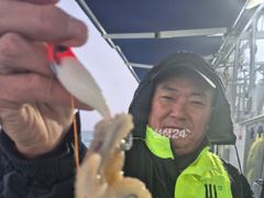 26일, 수중전 군산주꾸미~갑이랑 잘나오네요~갑이 씨알 좋아요~실시간~군산낚시프라자 나드리호