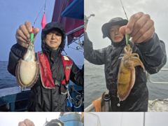 크라운호 갑오징어 실시간조황(26일)-내일도 자리있음