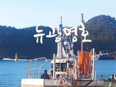 급!!!!!삼천포광명호2.9/27(일요일)쭈꾸미 낚시 출조 예약 받습니다.(선비~5만)