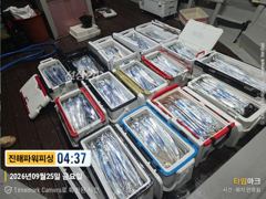 [진해] [갈치/텐빈/텐야]만쿨자부터~쿨러조황[일요일]예약가능