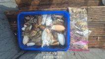 쭈갑조황 글만 보기